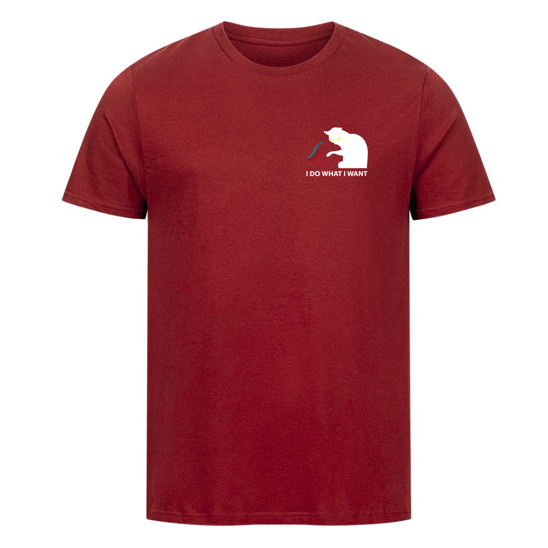 I Do what i want T-Shirt