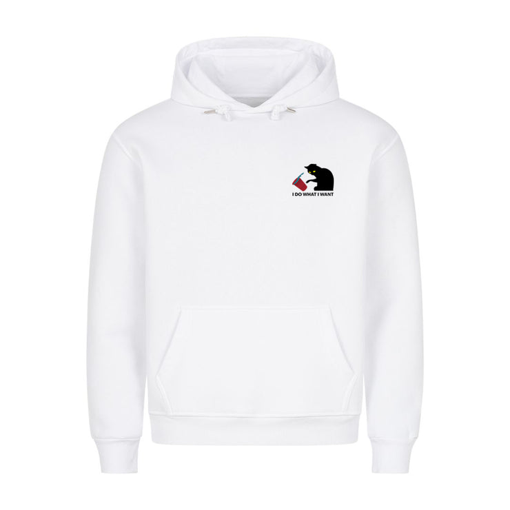 I Do what i want Hoodie