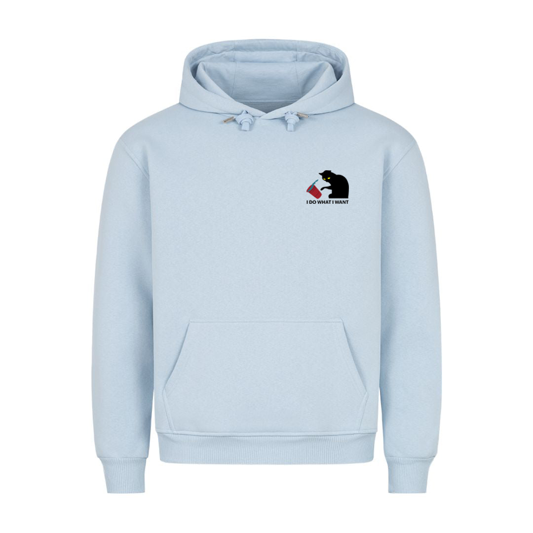 I Do what i want Hoodie
