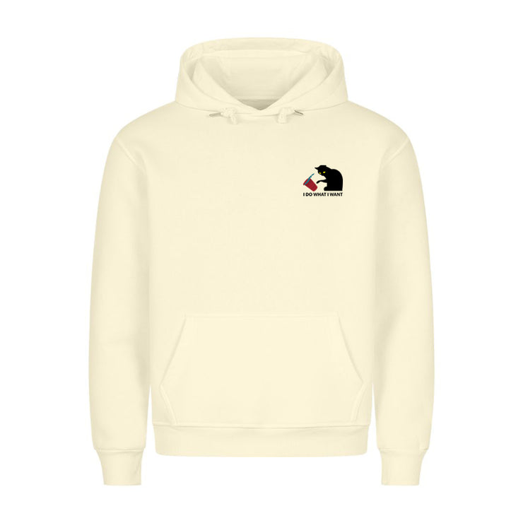 I Do what i want Hoodie