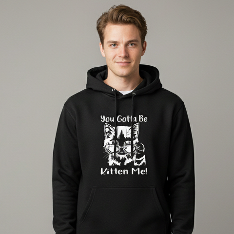 Gotta Kitten me Hoodie